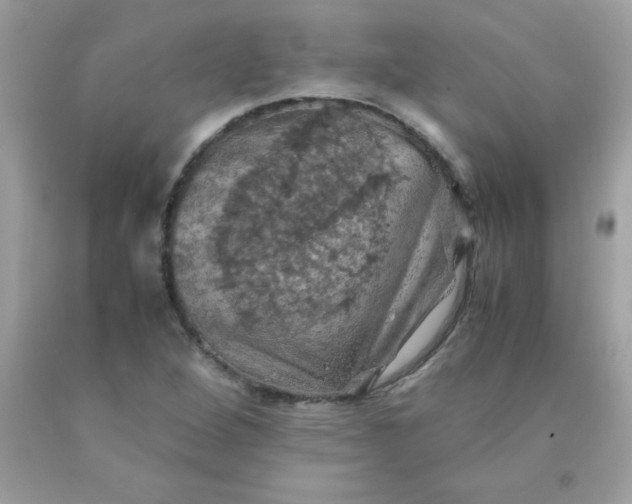 X0000090491264200707272333