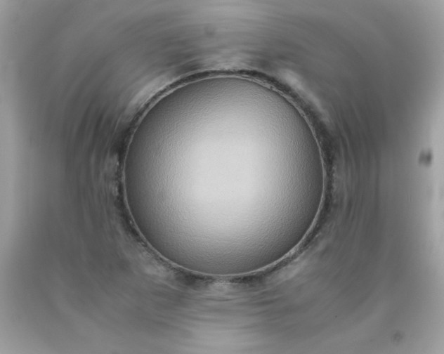 X0000090491265200707272333