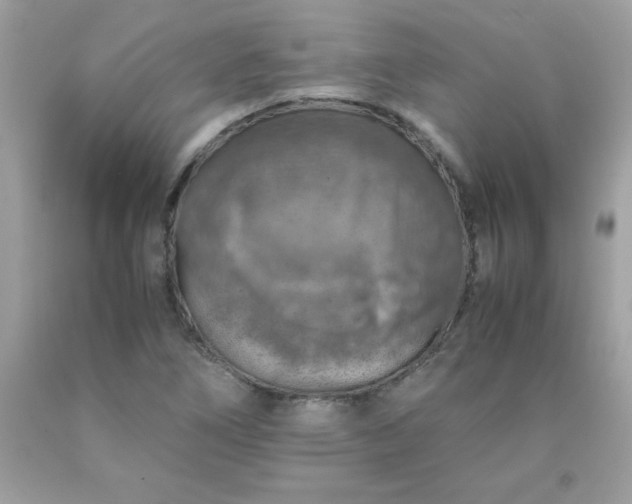 X0000090491266200707272333