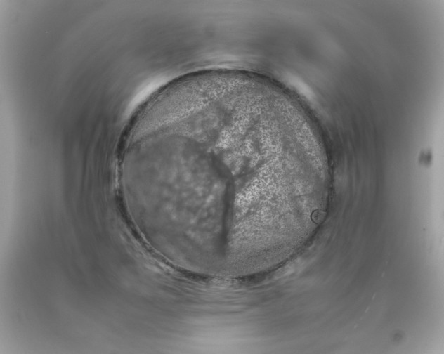 X0000090491267200707272333