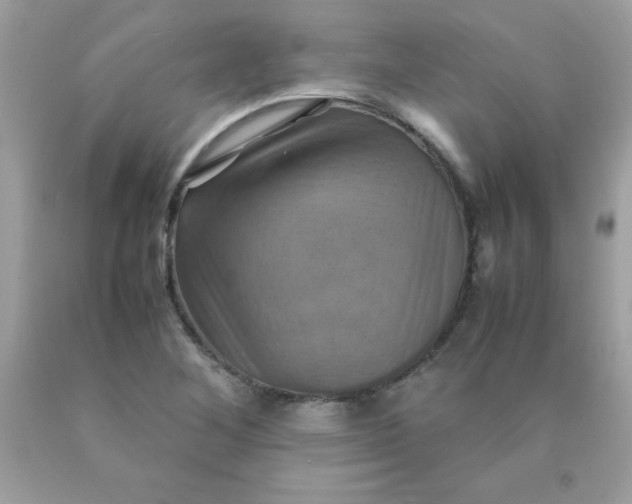 X0000090491268200707272333