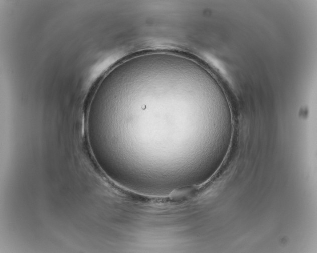 X0000090491269200707272333