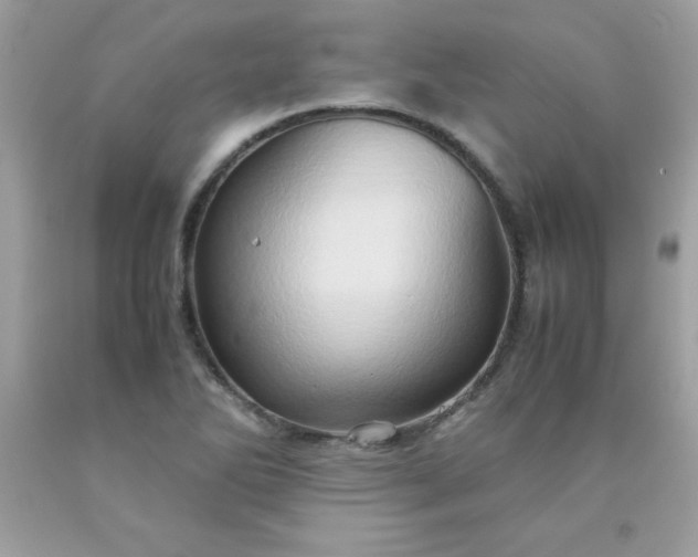X0000090491270200707272333