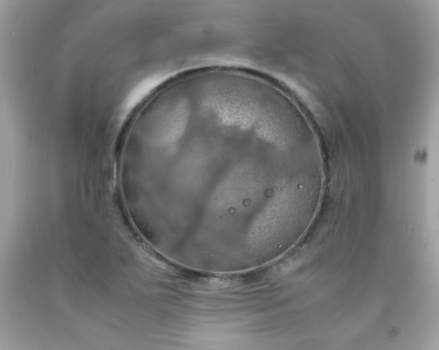 X0000090491271200707272333