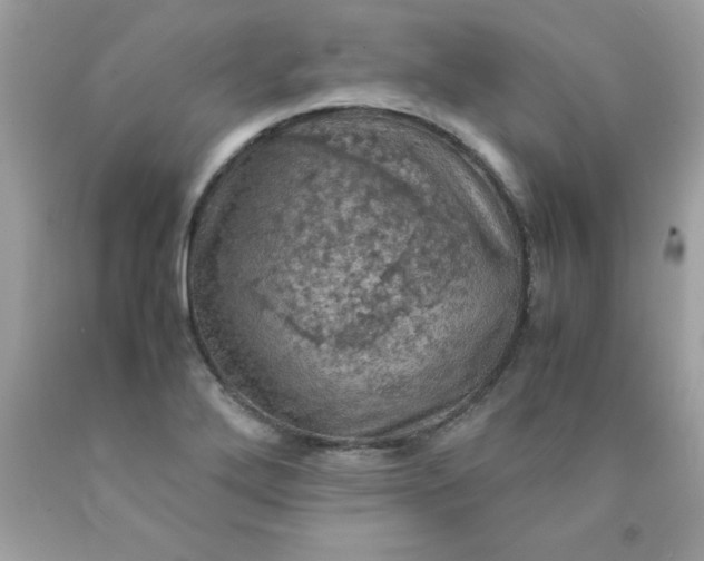 X0000090491272200707272333