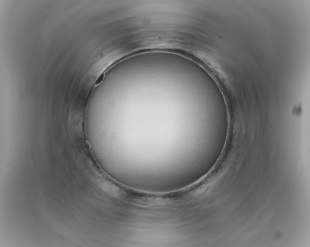 X0000090491273200707272333