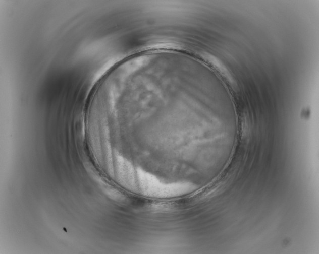 X0000090491274200707272333