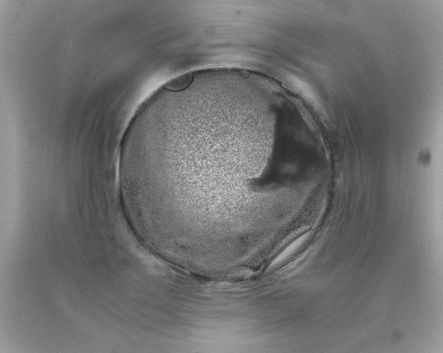 X0000090491275200707272333