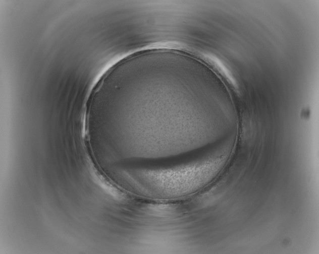 X0000090491276200707272333
