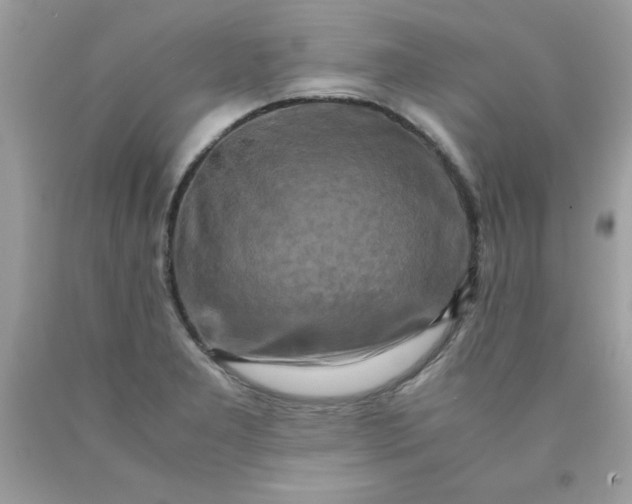 X0000090491277200707272333