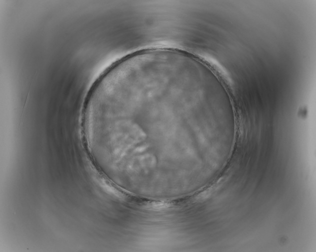 X0000090491278200707272333