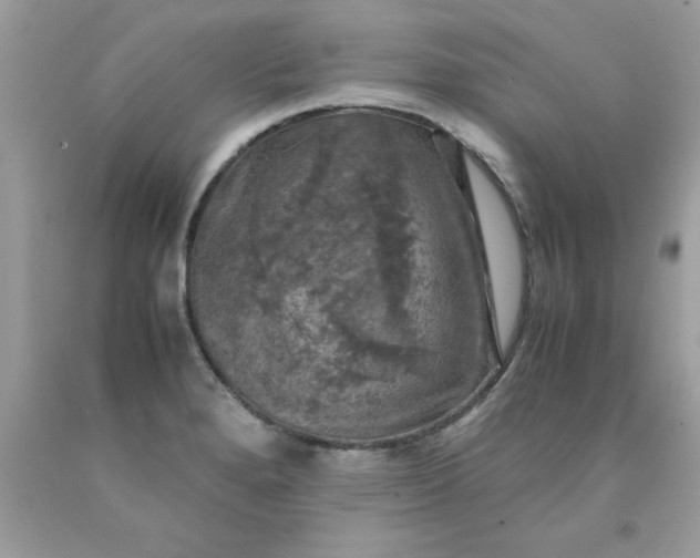 X0000090491280200707272333