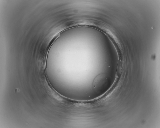 X0000090491281200707272333