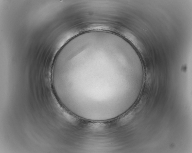 X0000090491282200707272333