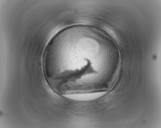 X0000090491283200707272332