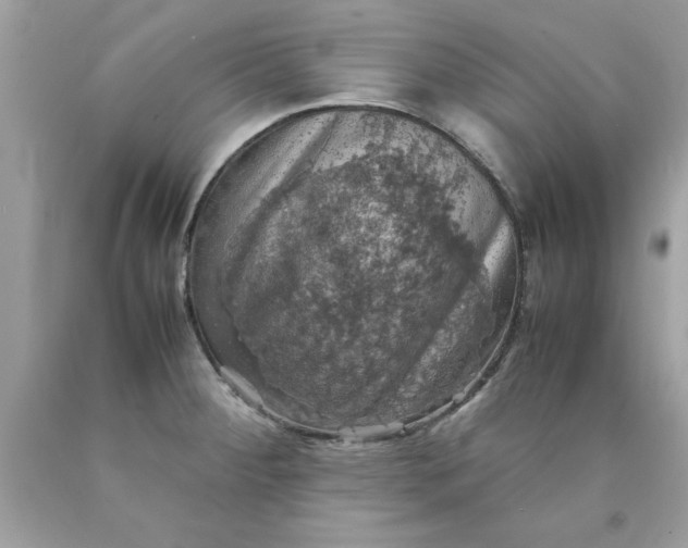 X0000090491284200707272332