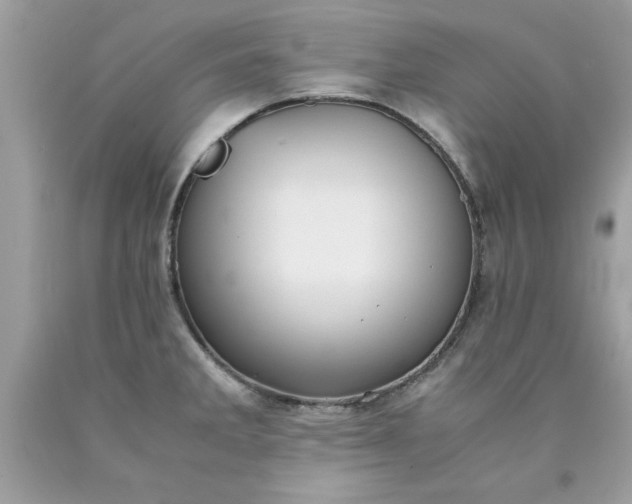 X0000090491285200707272332