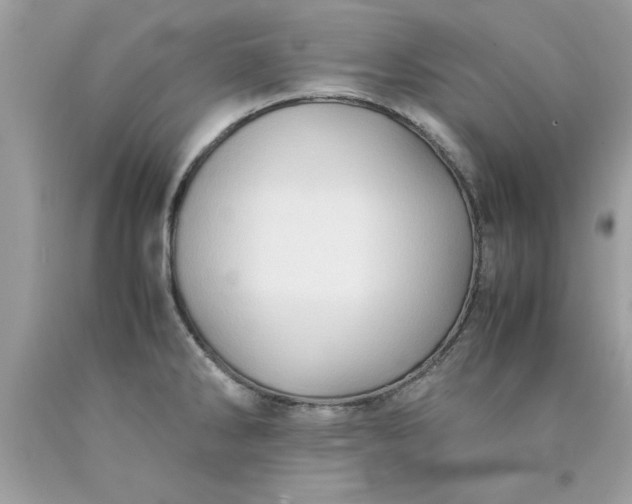 X0000090491286200707272332