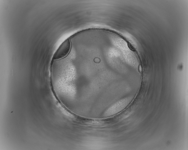 X0000090491287200707272332