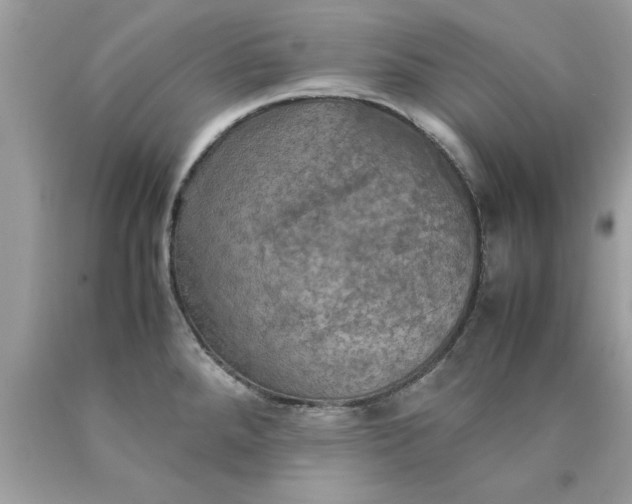 X0000090491288200707272332
