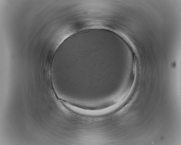 X0000090491289200707272332