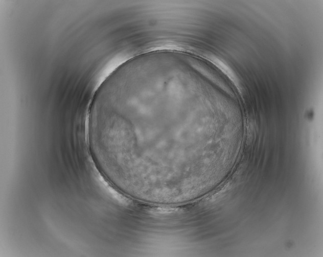 X0000090491290200707272332