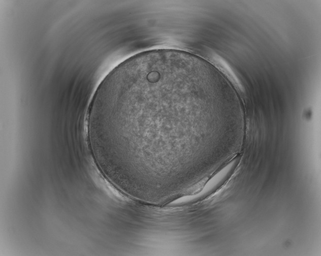 X0000090491292200707272332