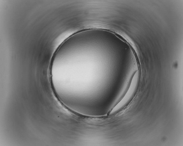 X0000090491293200707272332