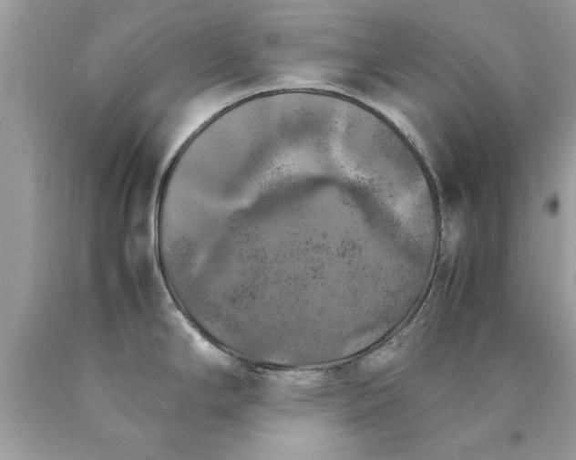 X0000090491294200707272332