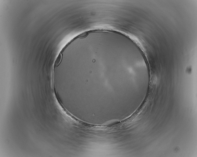 X0000090491295200707272332