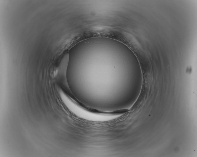 X0000090491298200707272332
