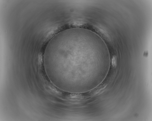 X0000090491299200707272332