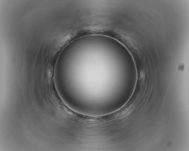 X0000090491300200707272332