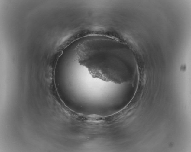 X0000090491301200707272332