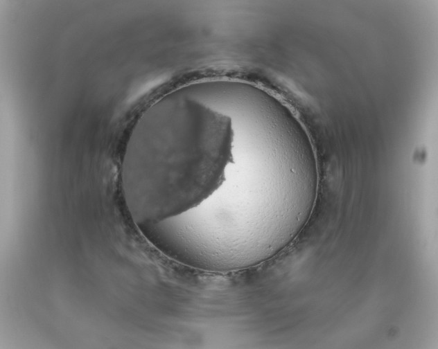 X0000090491302200707272332