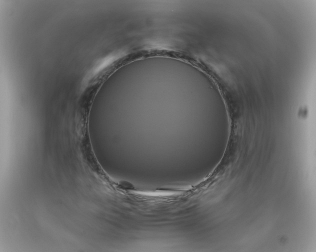 X0000090491303200707272332