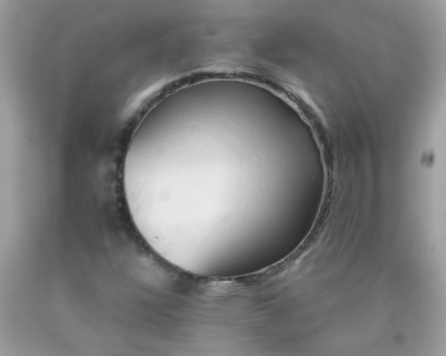 X0000090491304200707272332