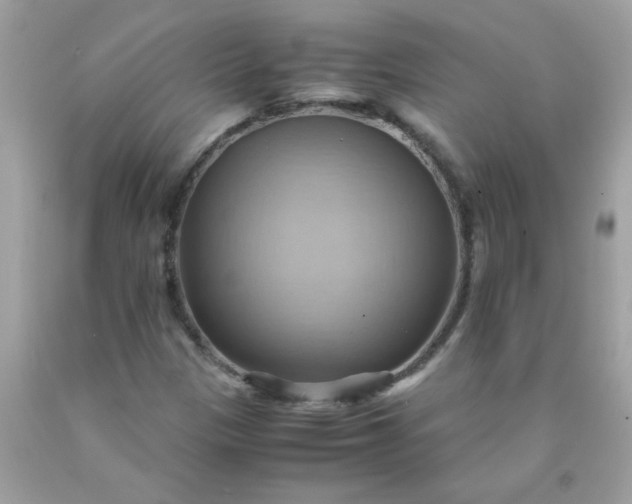 X0000090491305200707272332