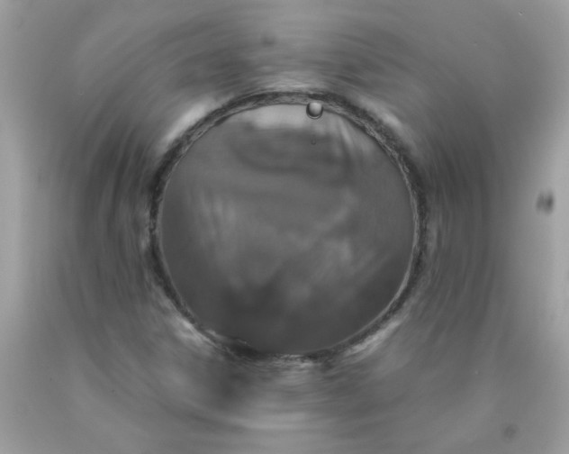 X0000090491306200707272332