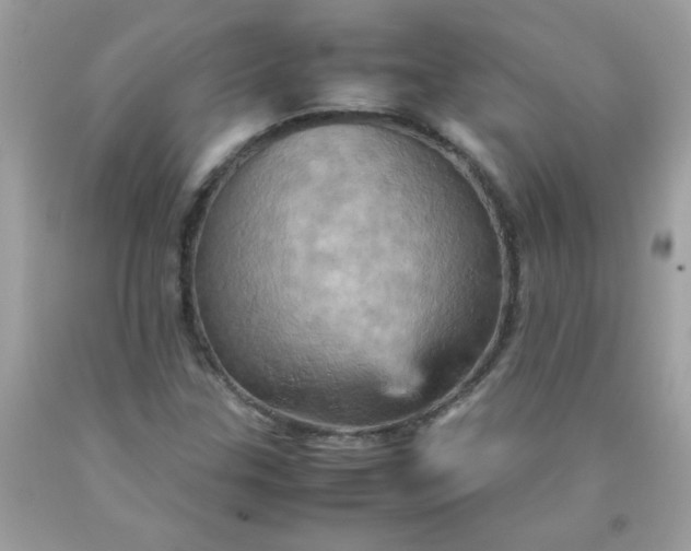 X0000090491307200707272332
