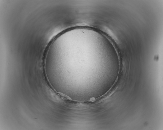 X0000090491308200707272332