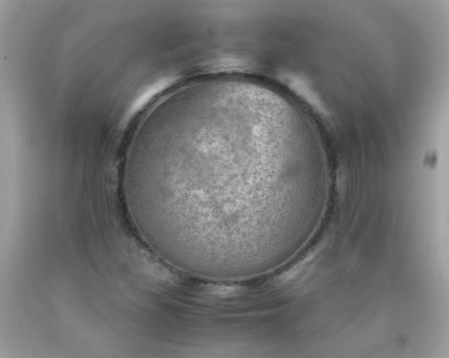 X0000090491309200707272332