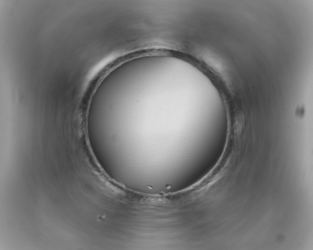 X0000090491310200707272332