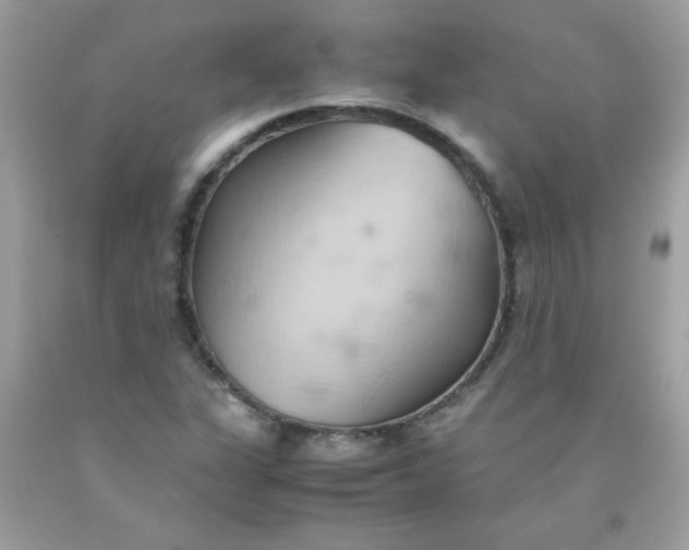 X0000090491311200707272332