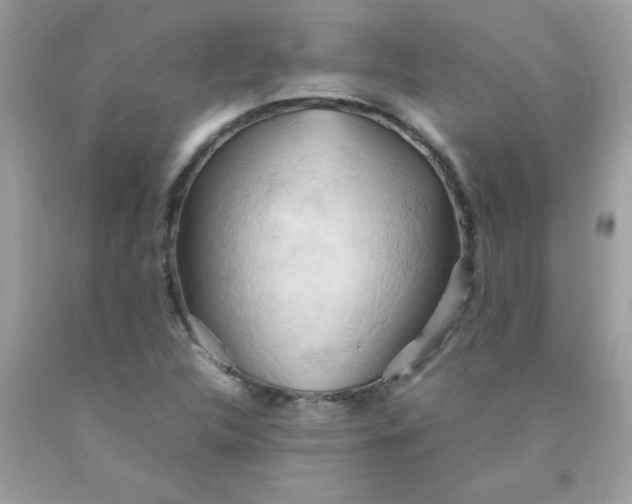 X0000090491312200707272332