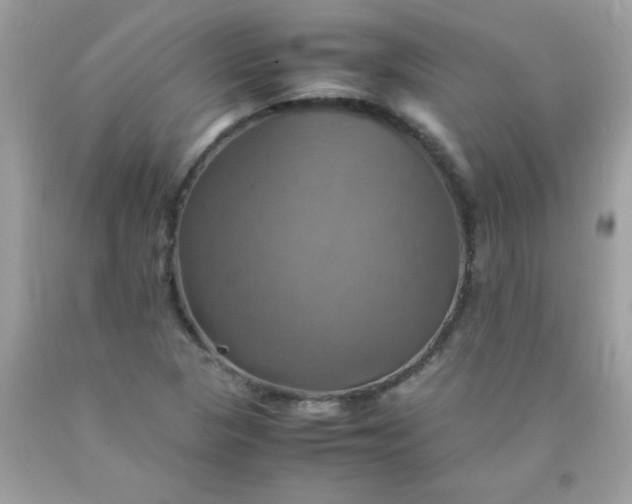 X0000090491313200707272332