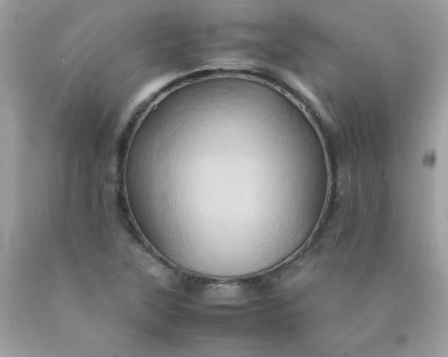 X0000090491315200707272332