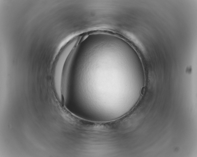 X0000090491316200707272332