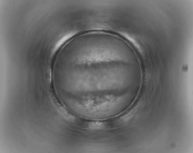 X0000090491317200707272332