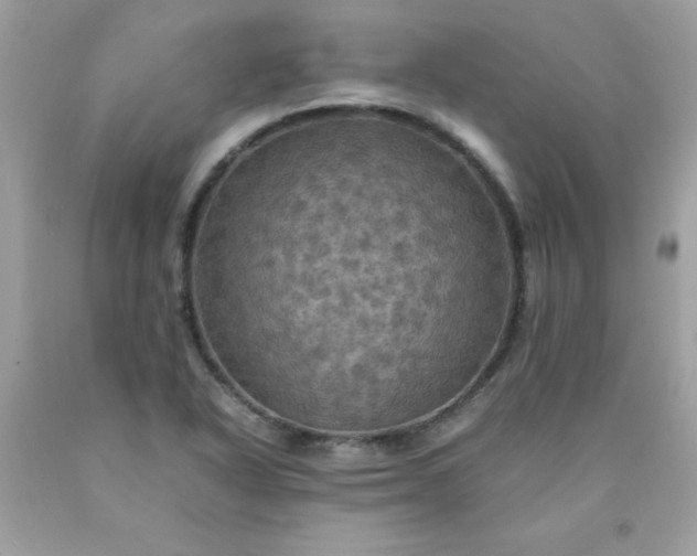 X0000090491318200707272332